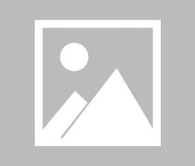 开云体育下载-布鲁克林电影在线完整版免费观看